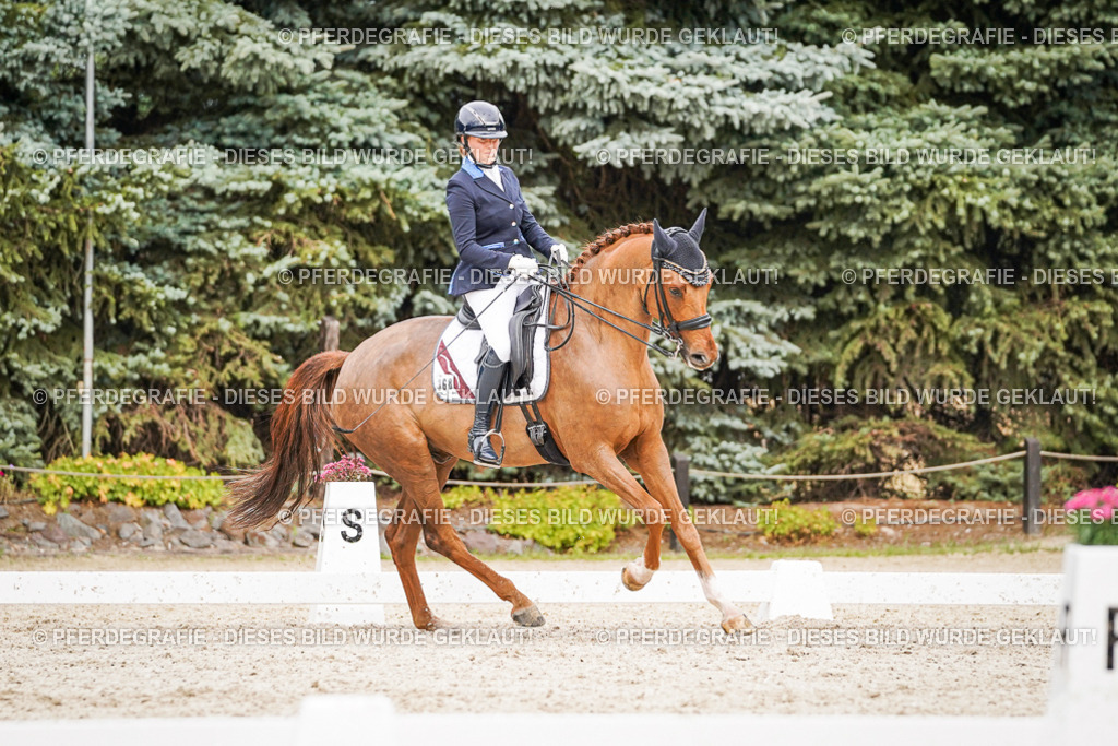 DSC07490 | Pferdegrafie