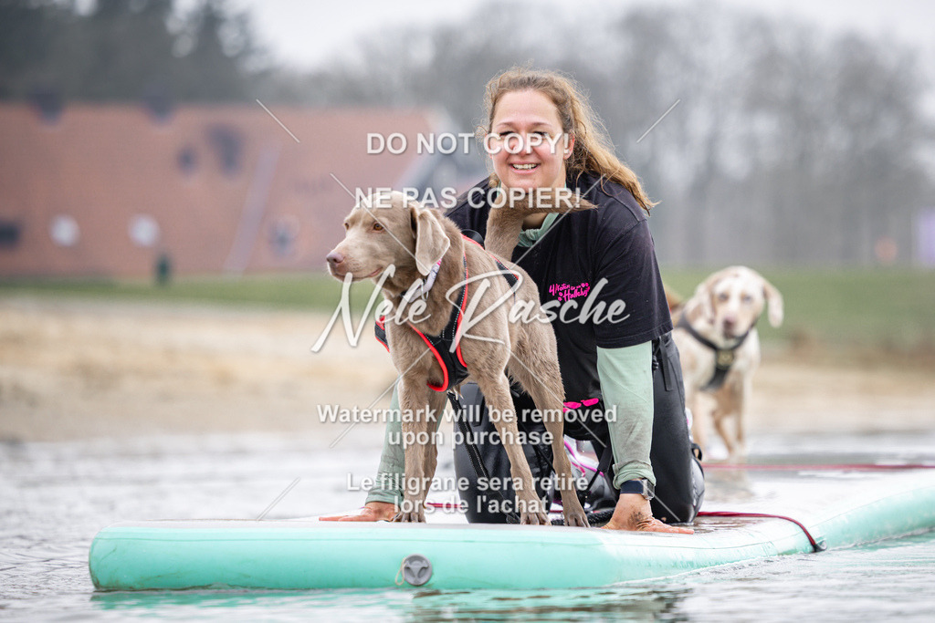 nelerasche_Hulsbeek_Sa1100-1130_347 | nelerasche