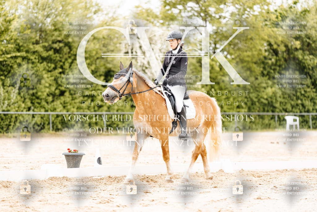 CK902991 | Turnierfotografie Pferdefotografie Trier Rheinland-Pfalz Pferdesport Reitsport Tierfotografie Sportfotografie Pferdevideo Pferdevideografie Equestrianvideography equestrianphotography  - Realisiert mit Pictrs.com
