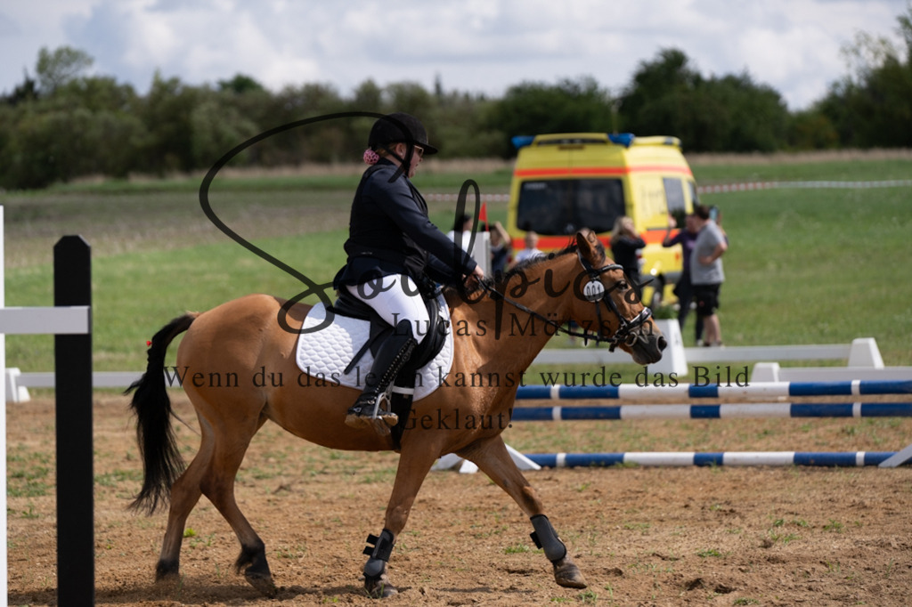 A7V03163 | Pferdefotograf