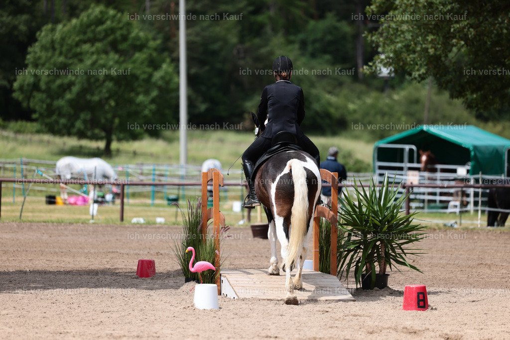 KlasseA_Stoibphotography_C2_L5358.JPG | working equitationturnier fotograf videograf stoibphotography marixx film working equitation deutschland reitsport turnierfotografie eventfotografie equestrian events