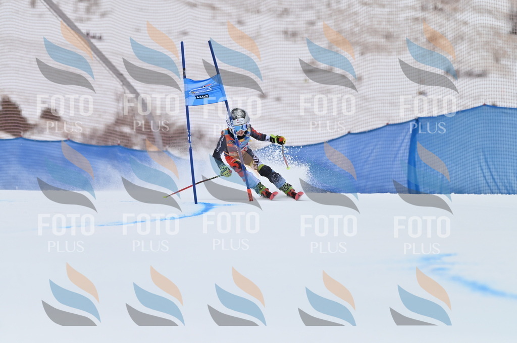 BGV_0102 | holidayphoto