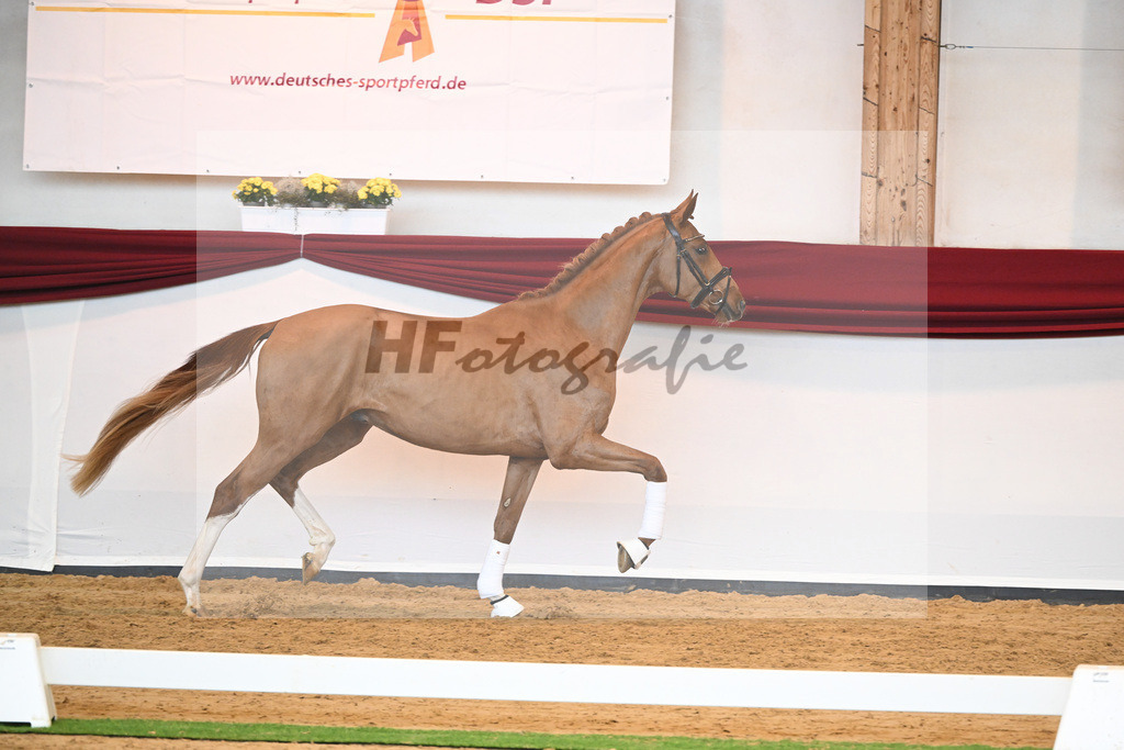 Kat-Nr. 56 v. Vivaldos_Fischer_66220841 | hf-fotografie - Realisiert mit Pictrs.com