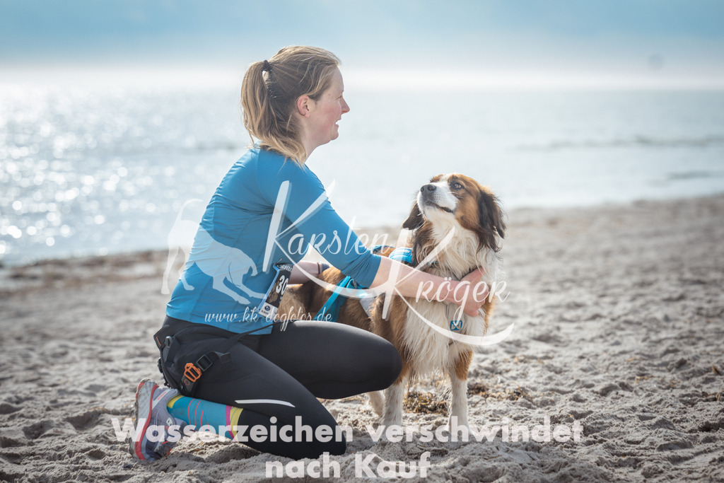 1154_ZZ92378 | kk-dogfotos