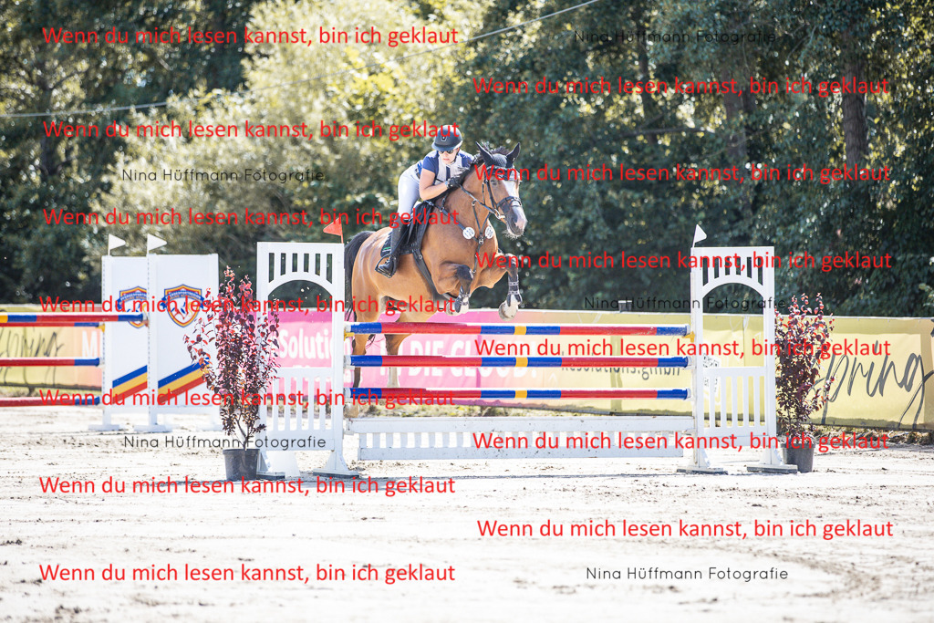 BK1A6590 | Turnierbilder Turnierfotos Nina Hüffmann Turnierfotografie Pferdefotografie Tierzeichnung Haustierzeichnung Pferdezeichnung Hundezeichnung Videograf  - Realisiert mit Pictrs.com