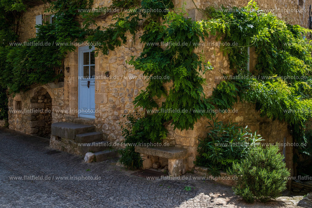Begrüntes Haus | Streetfoto aus der Ardeche