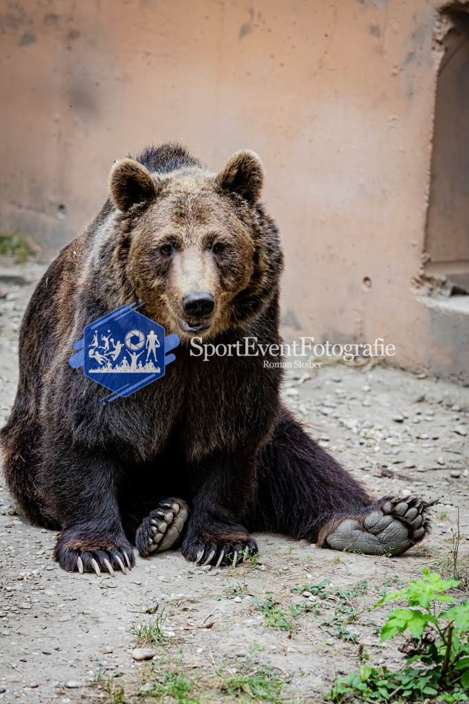 IMG_3662 | SportEventFotografie - Roman Stoiber