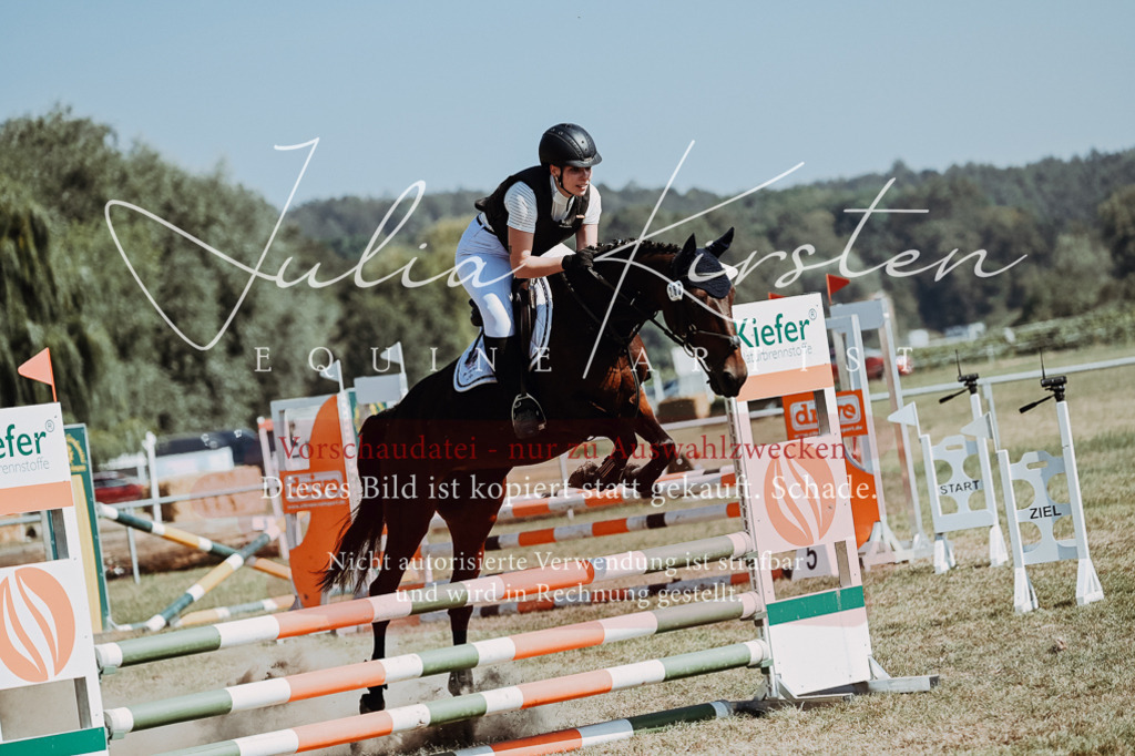 DSC_9669 | Pferde- und Turnierfotografie in Westsachsen. Pferdeportraits, Auftragszeichnungen und intuitive Kunst.