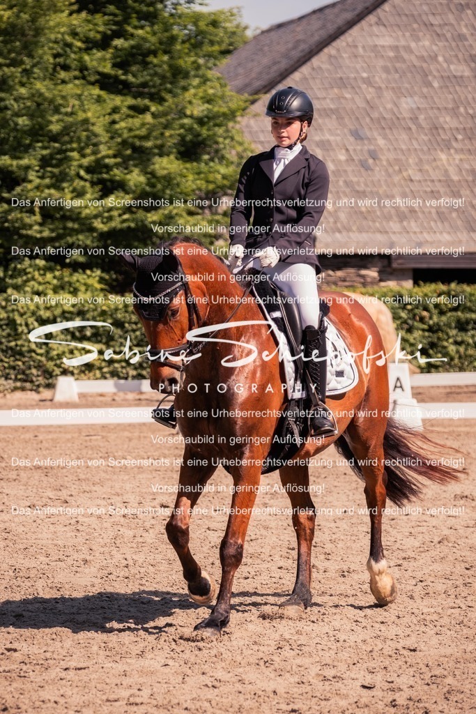 2025_05_31_DSCF3063 | People- und Tierfotografie, Imageaufnahmen, Veranstaltungsfotografie und Wandbilder aus der Natur ★ Made in Germany ✔️ Druck + Downloads ✔️ Naturfotografie in Top Qualität ★ schneller Versand, weltweite Lieferung! - Realisiert mit Pictrs.com