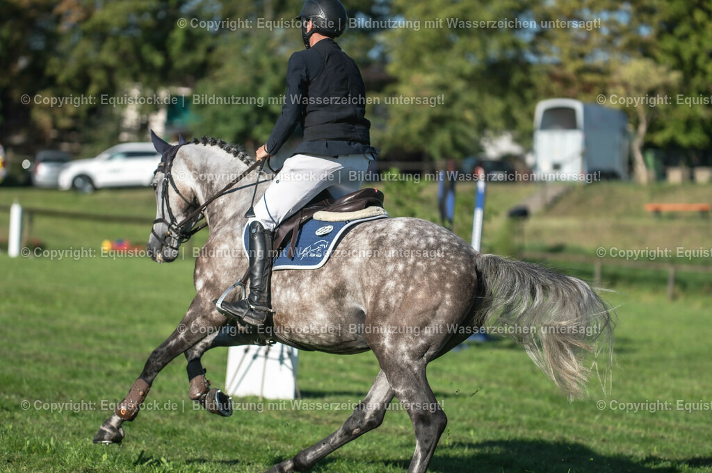 20230908_14-15_Springpferde-A_0019 | equistock