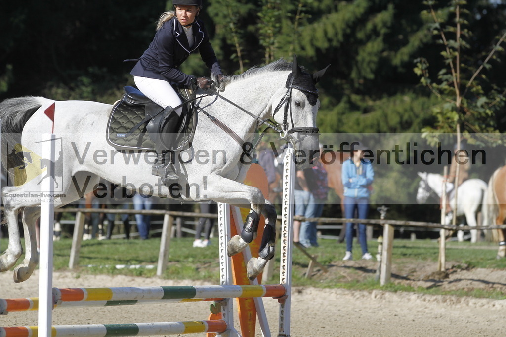 _MG_4071 | equestrian-live-com