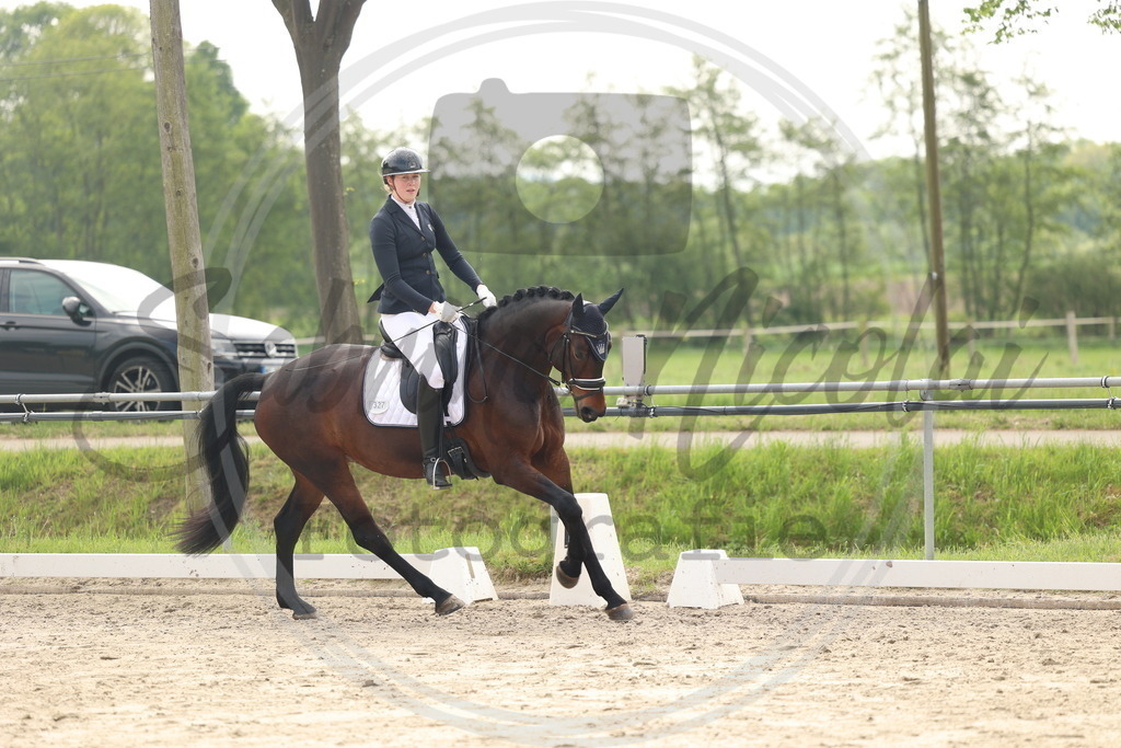 994A6319 | sabrinanicolaifotografie - Realisiert mit Pictrs.com