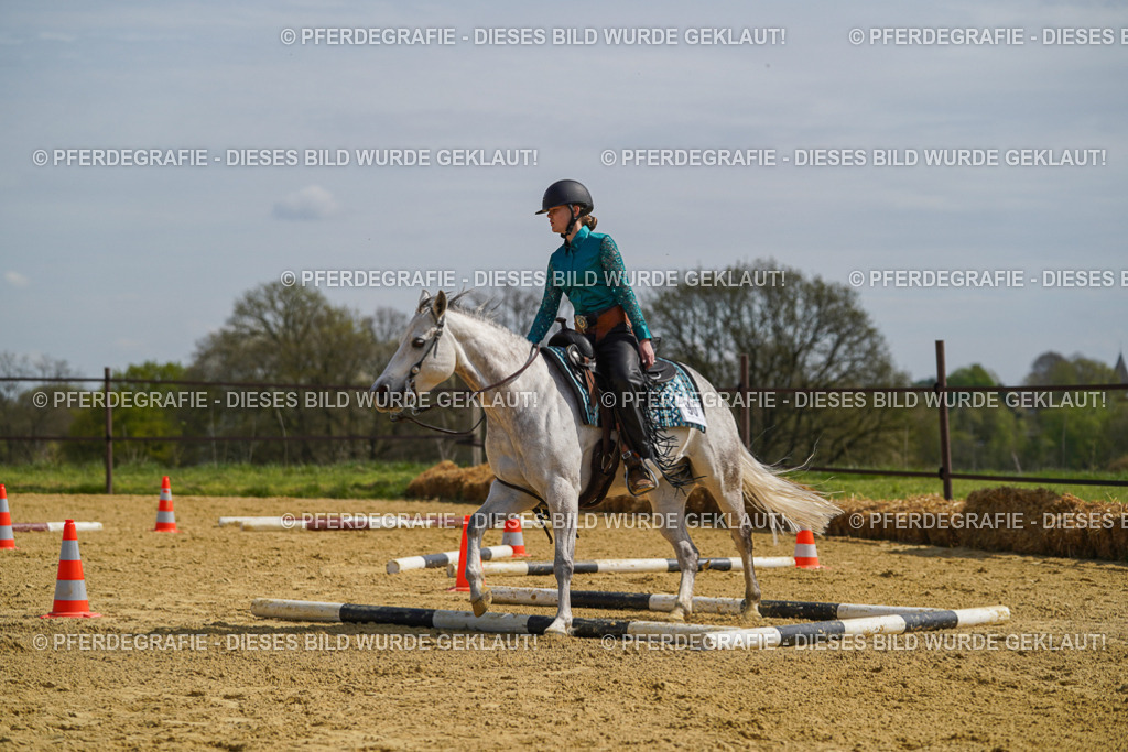 DSC04609 | Pferdegrafie