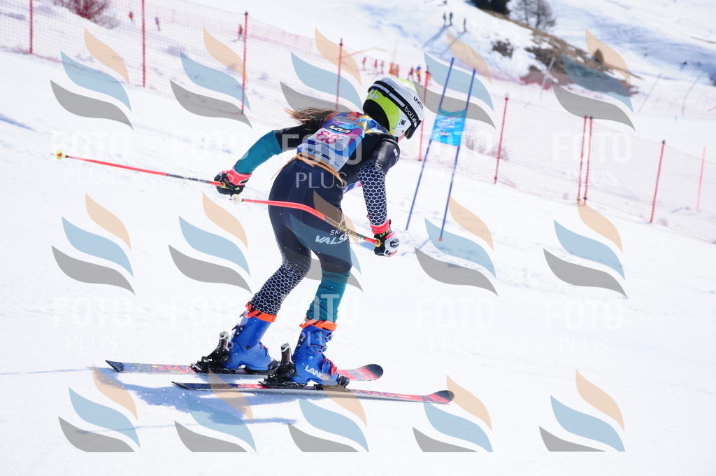 DSC_4612 | holidayphoto