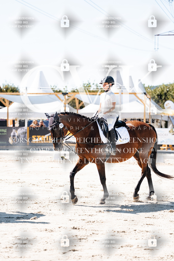CK902434 | Turnierfotografie Pferdefotografie Trier Rheinland-Pfalz Pferdesport Reitsport Tierfotografie Sportfotografie Pferdevideo Pferdevideografie Equestrianvideography equestrianphotography  - Realisiert mit Pictrs.com