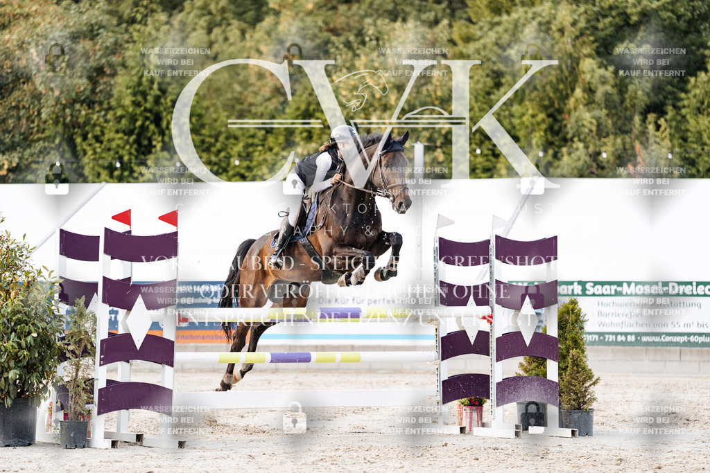 CK903980 | Turnierfotografie Pferdefotografie Trier Rheinland-Pfalz Pferdesport Reitsport Tierfotografie Sportfotografie Pferdevideo Pferdevideografie Equestrianvideography equestrianphotography  - Realisiert mit Pictrs.com