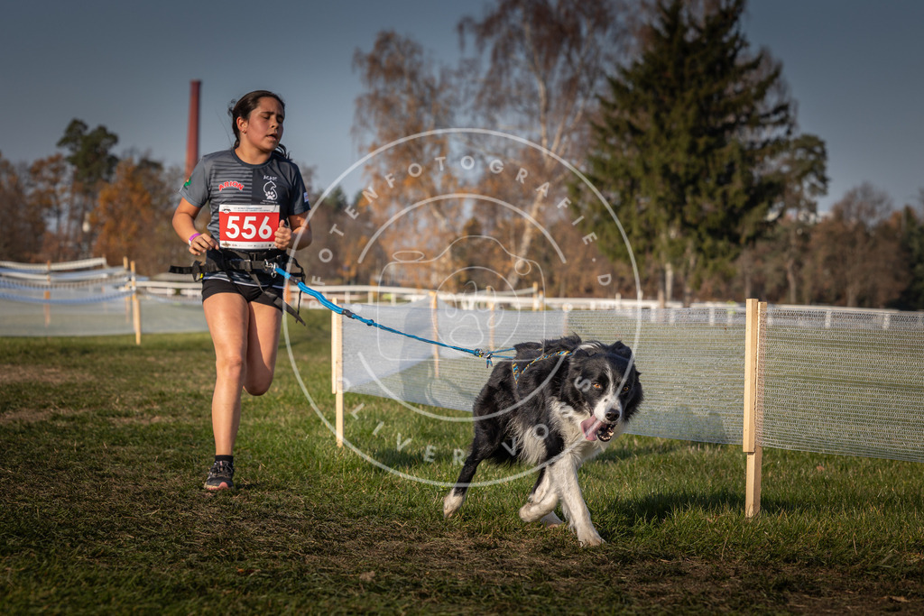 CaniXpix_0L8A9427 | Hundefotografie, Tierfotograf, Pfotenfotografie, Fotoshooting Hund, Hunde Portrait, Hundesport, Hundeportraits, Heideshooting, Hunde, Sportfotograf, Hundefotograf, Turnierhundsport, THS,  - Realisiert mit Pictrs.com