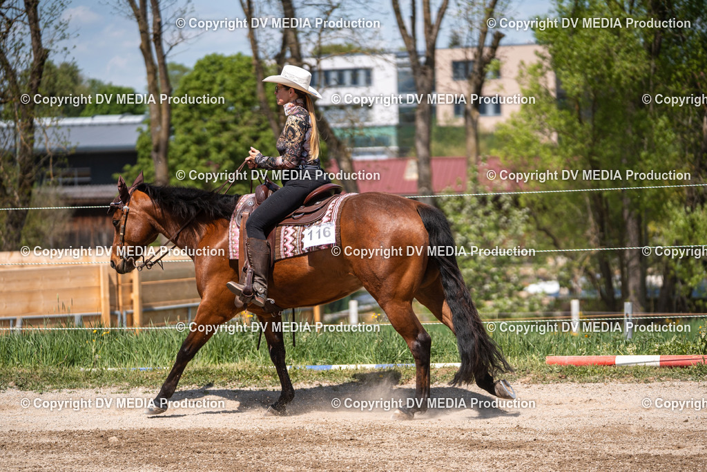 Balingen Tag 2-1082 | dv-media-shop - Realisiert mit Pictrs.com