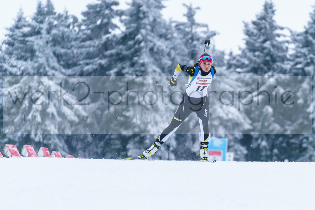 DP Oberwiesenthal | Alpencup/DP Deutschlandpokal in Oberwiesenthal am 15.-17.12.2023