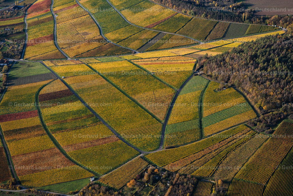 4042309 | Weinlage Sonnenstuhl, Randersacker