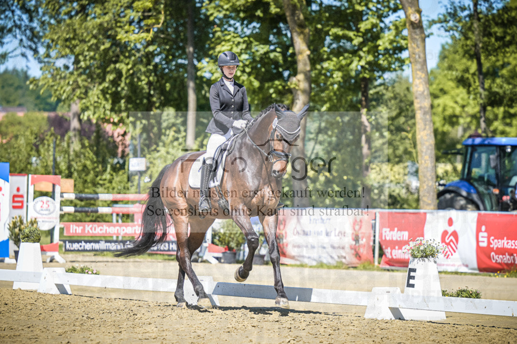 DOS_6287 | Entdecke hochwertige Reitturnierfotos von Foto Oger. Professionell, emotional und authentisch – jetzt Lieblingsmomente im Shop bestellen.Deutschlandweite Turnierfotografie. - Realisiert mit Pictrs.com