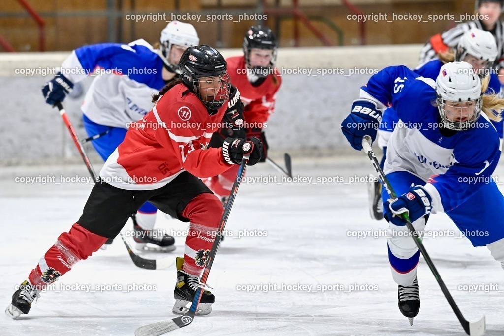 BST_3441 | hockey sports photos, Pressefotos, Sportfotos, hockey247, win 2day icehockeyleague, Handball Austria, Floorball Austria, ÖVV, Kärntner Eishockeyverband, KEHV, KFV, Kärntner Fussballverband, Österreichischer Volleyballverband, Alps Hockey League, ÖFB, 