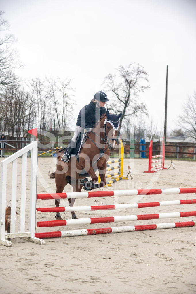 DSC_8227 | sattelsport - Realisiert mit Pictrs.com