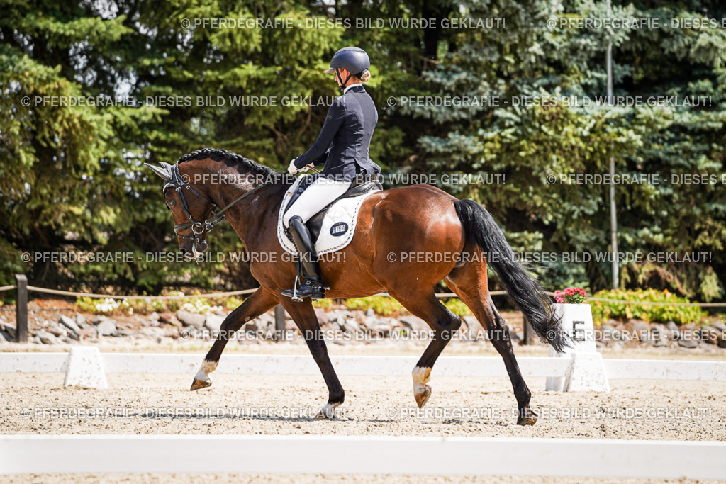 DSC01472 | Pferdegrafie