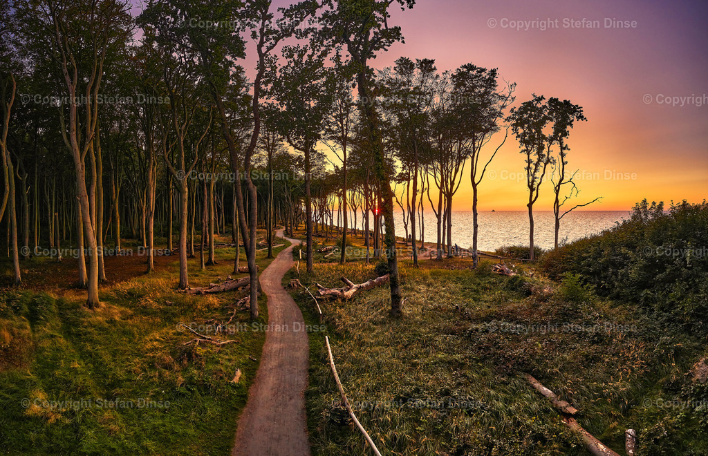 Gespenterwald Nienhagen | Gespenterwald Nienhagen - Realisiert mit Pictrs.com