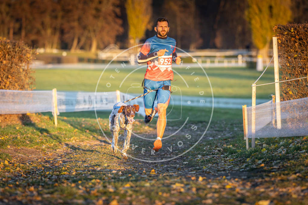 CaniXpix_DV3A5613 | Hundefotografie, Tierfotograf, Pfotenfotografie, Fotoshooting Hund, Hunde Portrait, Hundesport, Hundeportraits, Heideshooting, Hunde, Sportfotograf, Hundefotograf, Turnierhundsport, THS,  - Realisiert mit Pictrs.com