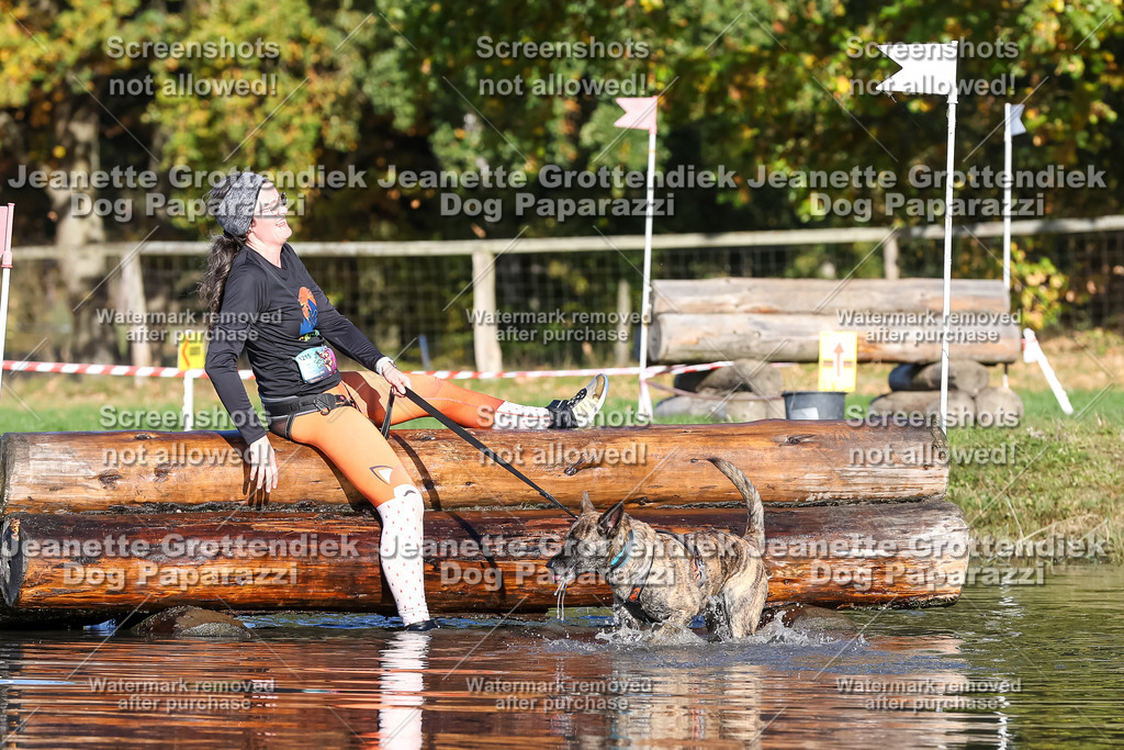 Dog Paparazzi - Strongdog 10-25-8717 | Dog Paparazzi Jeanette Grottendiek Fotografie & Videografie - Realisiert mit Pictrs.com