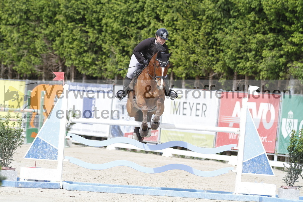 _MG_0247 | equestrian-live-com