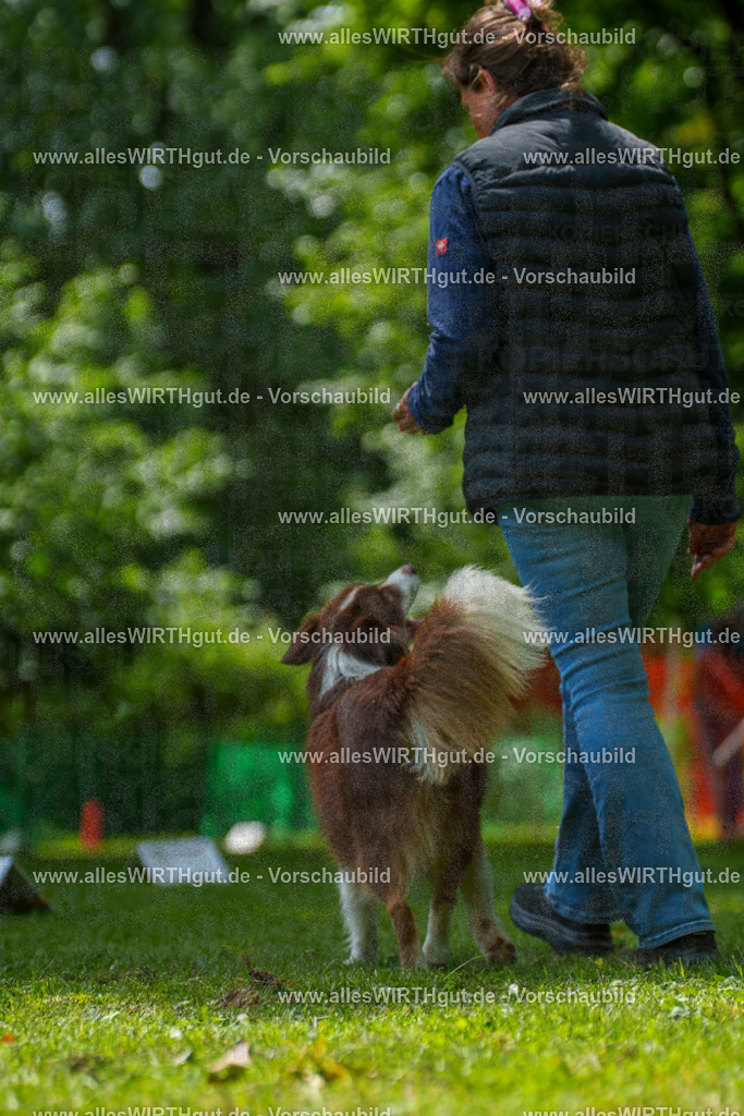 @allesWIRTHgut_Tierfotografie - www.allesWIRTHgut.de - 7R505442 | Professionelle Tierfotografie in Mönchengladbach von Daniel Wirth (allesWIRTHgut). Liebevolle & natürliche Bilder von Hunden & Katzen für unvergessliche Erinnerungen.
