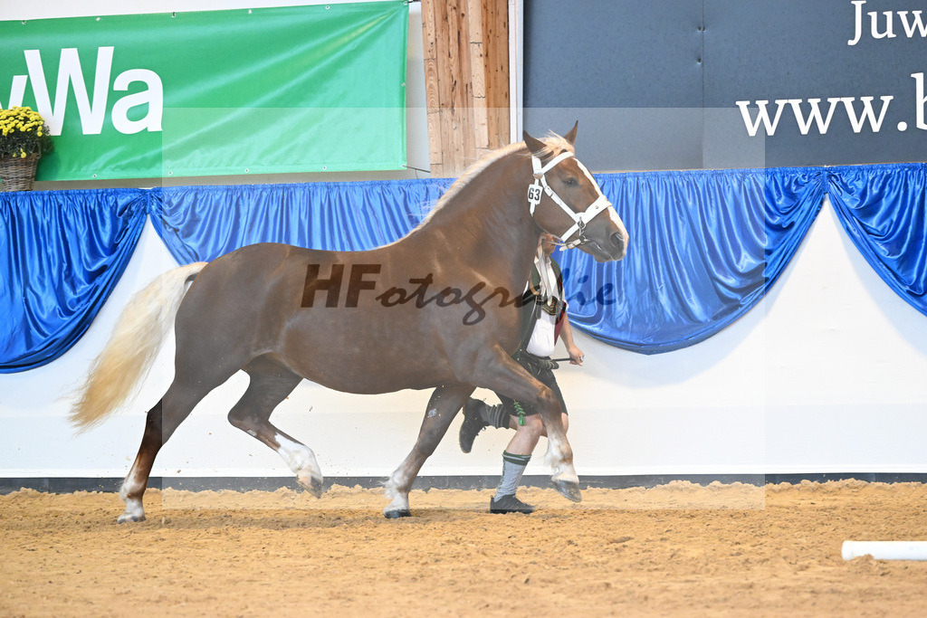 Kat-Nr. 63 Mirabell_Marchl_53220192 | hf-fotografie - Realisiert mit Pictrs.com