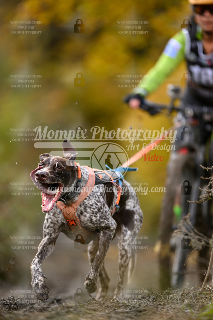 MompixPhotography_ICF_WC_2024_SA_Bike_-274 | PayLife
