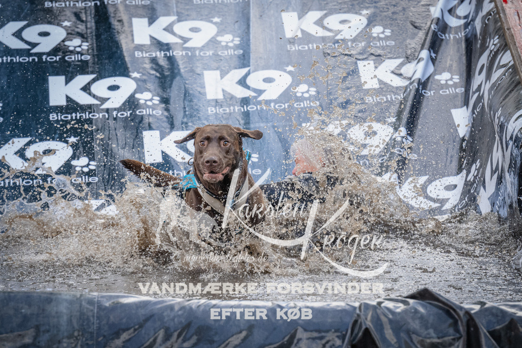 1518_ZZ94390 | kk-dogfotos