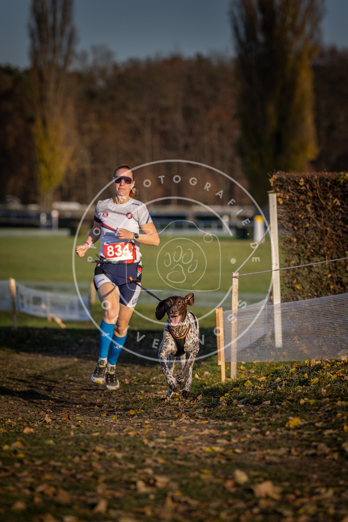 CaniXpix_DV3A3487 | Hundefotografie, Tierfotograf, Pfotenfotografie, Fotoshooting Hund, Hunde Portrait, Hundesport, Hundeportraits, Heideshooting, Hunde, Sportfotograf, Hundefotograf, Turnierhundsport, THS,  - Realisiert mit Pictrs.com