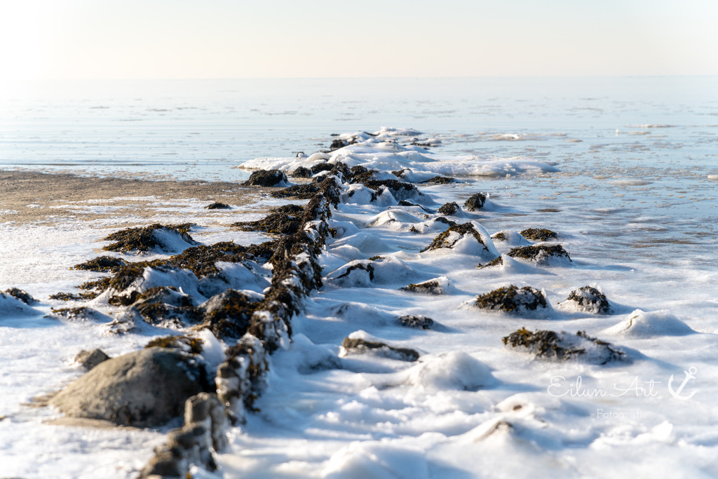 20250217-EAF_7222 | Eilun-Art-Fotografie Levke Martens, ihre Fotografin für Immobilien- und Landschaftsfotografie auf Föhr, Föhrer Motive als Poster, Leinwand, hinter Acrylglas oder stelle dir deinen eigenen Monatskalender zusammen, mit nur einem Klick