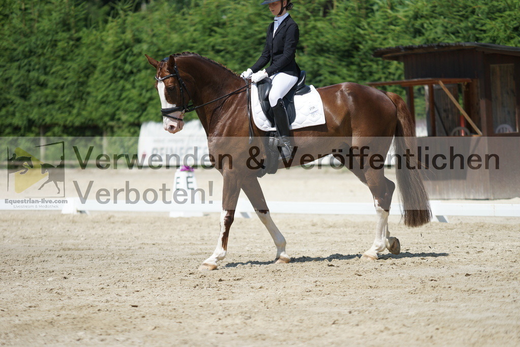 DSC01639 | equestrian-live-com
