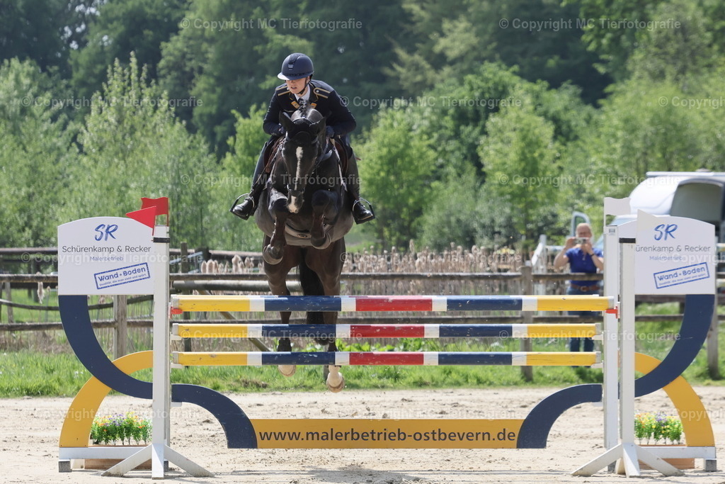 CCI3St.-SMuenstWestfMeist03052025MC3H5A4802B | Pferdefotos online bestellen - Realisiert mit Pictrs.com