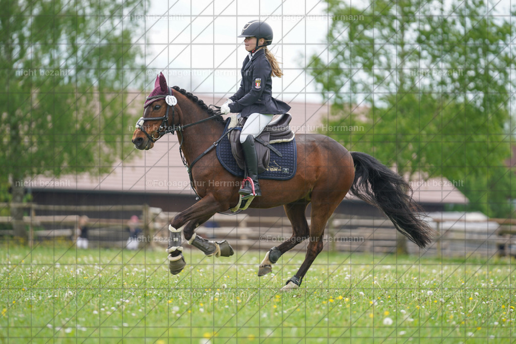 20240509-FAH02658 | Turnierbilder der Turnierfotografen Bayern, Pferdesport Fotografie, Reitsportbilder, Turnier Landberg am Lech, Turnierbilder bayern, Fotoagentur Herrmann