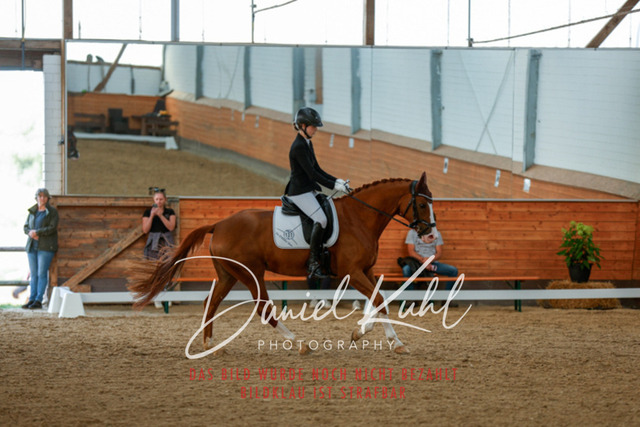 _62_7823 | Turniersportfotografie; Pferdefotografie; Dressurfotografie