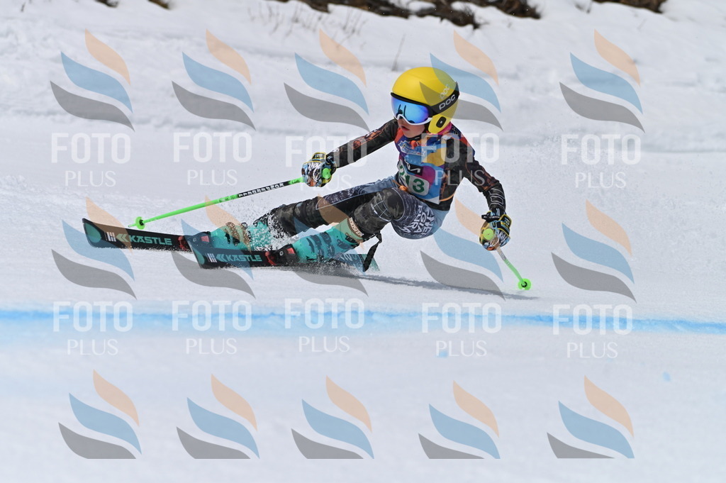 BGV_4141 | holidayphoto