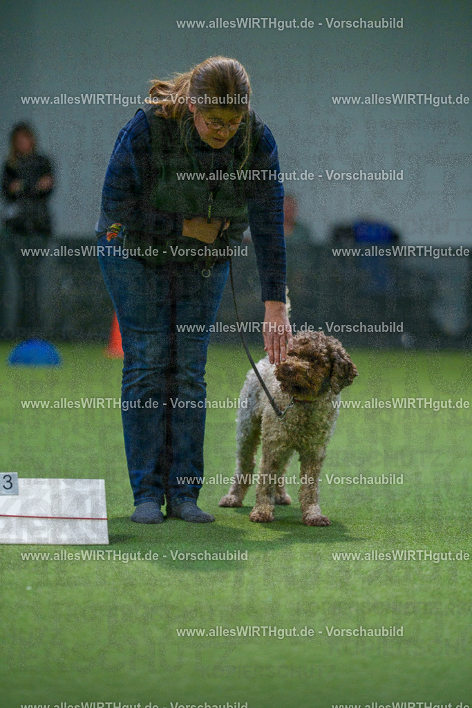 7R507818 | Professionelle Tierfotografie in Mönchengladbach von Daniel Wirth (allesWIRTHgut). Liebevolle & natürliche Bilder von Hunden & Katzen für unvergessliche Erinnerungen.