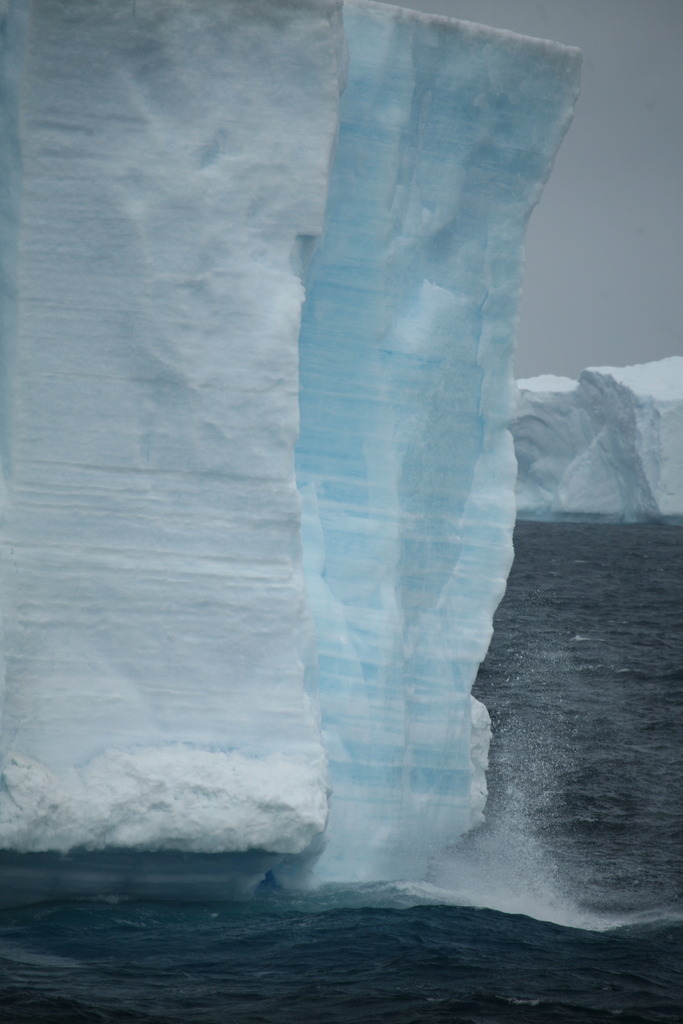 IMG_8206 | Antarktis / Antarctica - Realisiert mit Pictrs.com