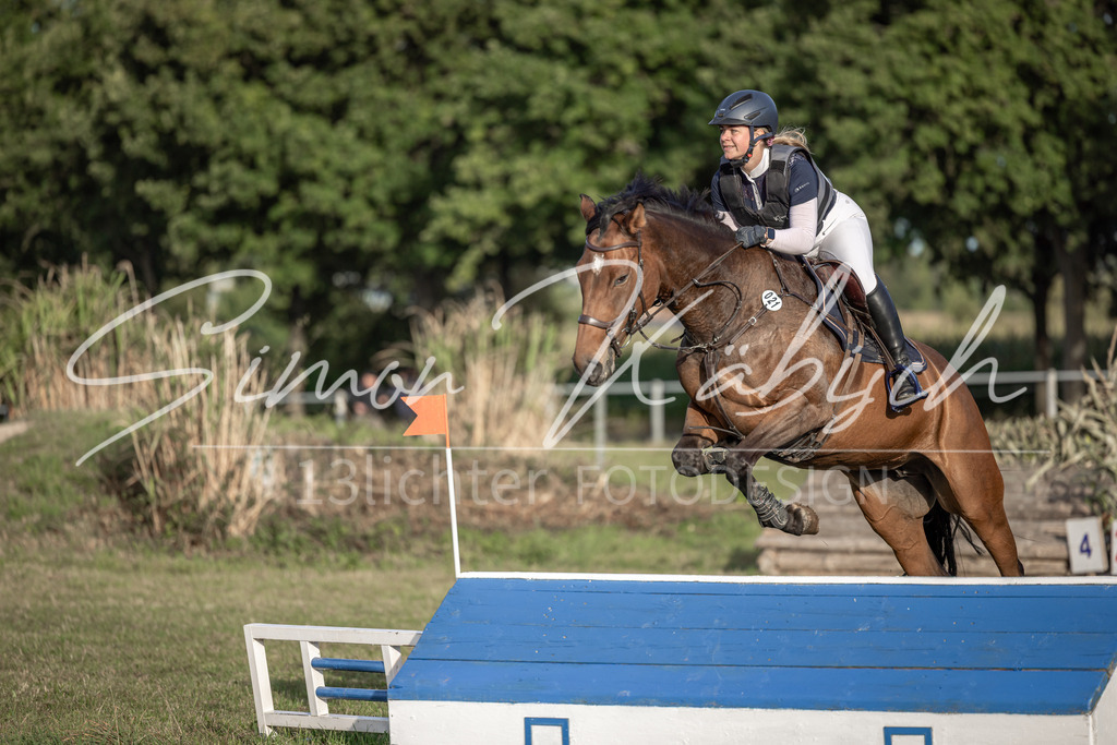 20250907-_3LI8370 | Tierfotografie Pferde, Hunde, Katzen, Haustiere.
Turnierfotografie Reitturniere, Reiten, Springreiten, Dressur in Hanau, dem Main-Kinzig-Kreis und dem Rhein-Main- Gebiet um Frankfurt