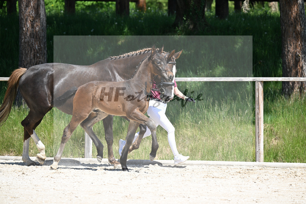 Cornet Obolensky x Kannan_HF_Schroetzlmair_10250185 | hf-fotografie - Realizzato con Pictrs.com