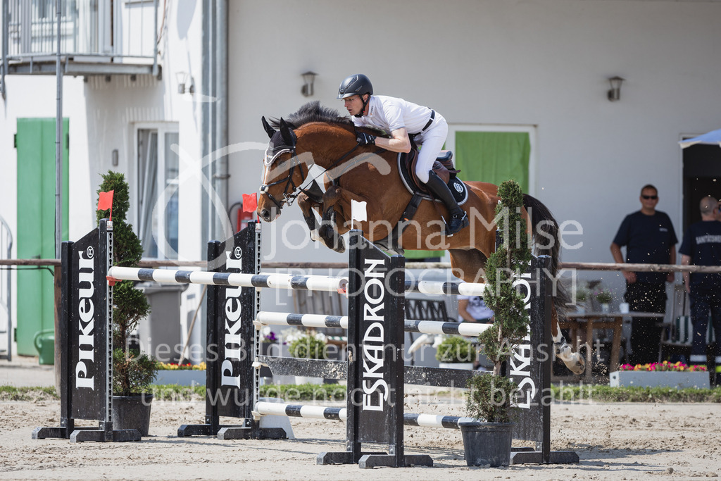 230624_PfSpTa_M2-Spr-914 | Deine schönsten Turniermomente als professionelle Fotos! Entdecke hochwertige Pferdesport-Fotografie im Online-Shop. Jetzt Fotos finden & bestellen!