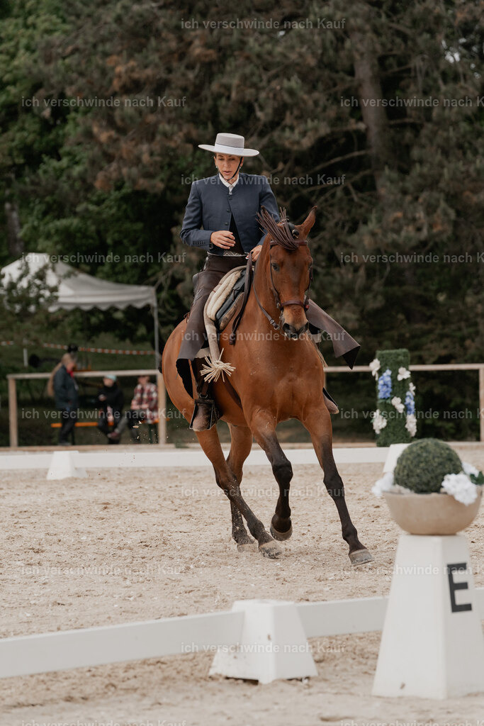 WE_DR_Stoib_313_PI2025_282 | Pferd International München 2025