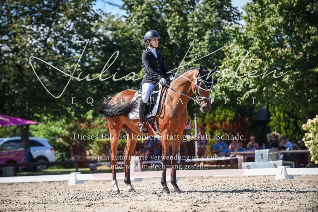 DSC_9577 | Pferde- und Turnierfotografie in Westsachsen. Pferdeportraits, Auftragszeichnungen und intuitive Kunst.